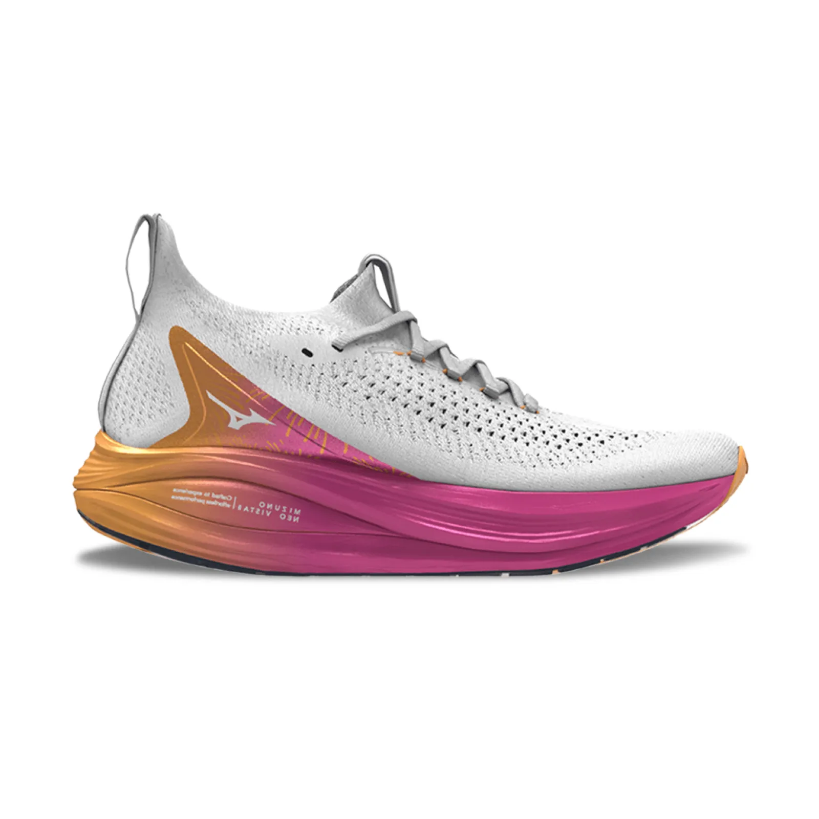 Кросівки Mizuno NEO VISTA 2