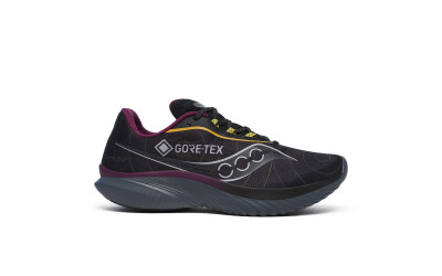 Чоловічі кросівки Saucony KINVARA 15 GTX